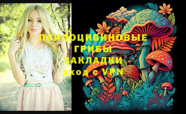 первитин Алексеевка